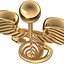 Medical Caduceus