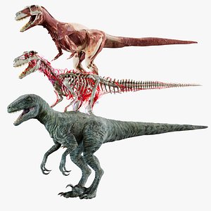 velociraptorAnatomy 3D