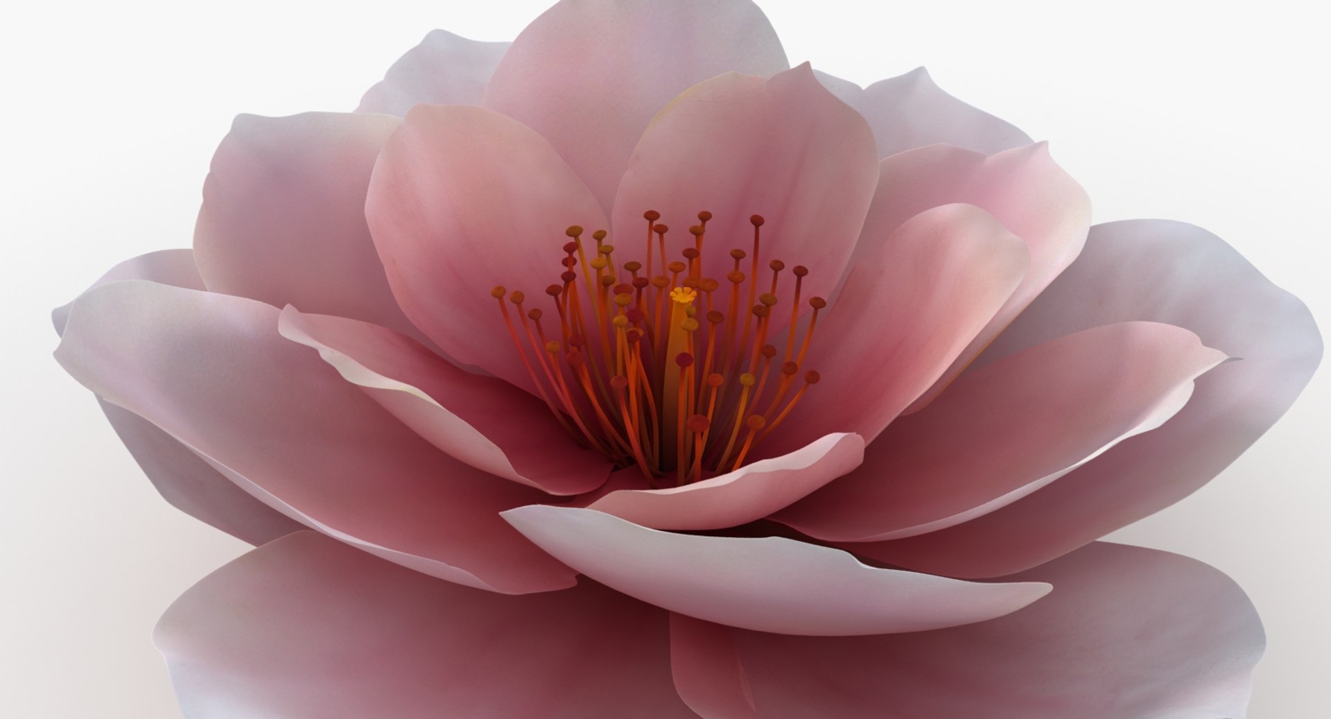 3D model flower https://p.turbosquid.com/ts-thumb/1W/rKuH34/9p0eJUz1/pink_flower_a_productshoot_d/jpg/1518103179/1920x1080/fit_q87/dcc424f2f006d94e429d1e2288a8276ab21959e0/pink_flower_a_productshoot_d.jpg
