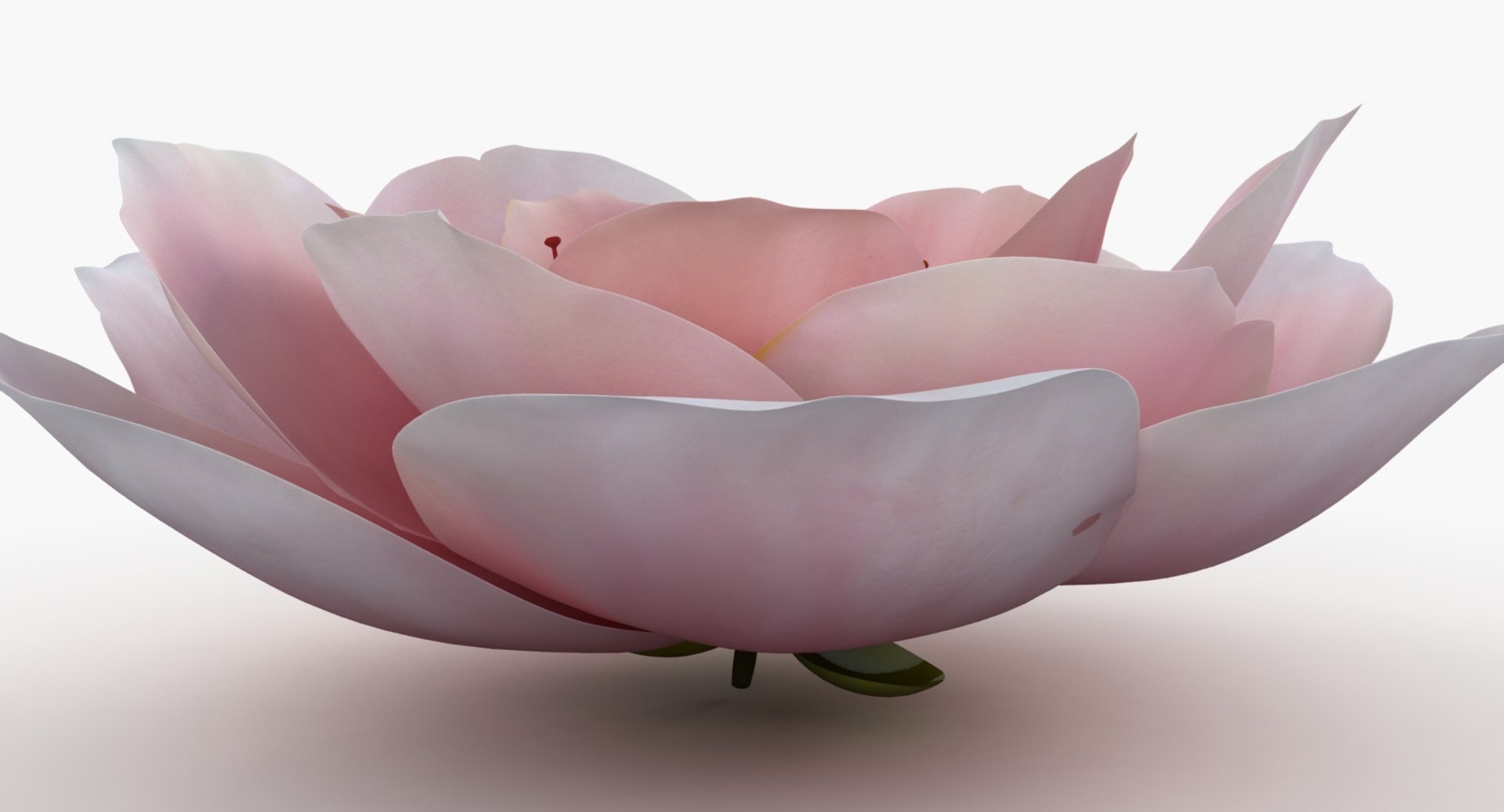 3D model flower https://p.turbosquid.com/ts-thumb/1W/rKuH34/FlGD12O4/pink_flower_a_productshoot_e/jpg/1518103179/1920x1080/fit_q87/17c5035c601fbba4fd82a137722ad537a6476327/pink_flower_a_productshoot_e.jpg