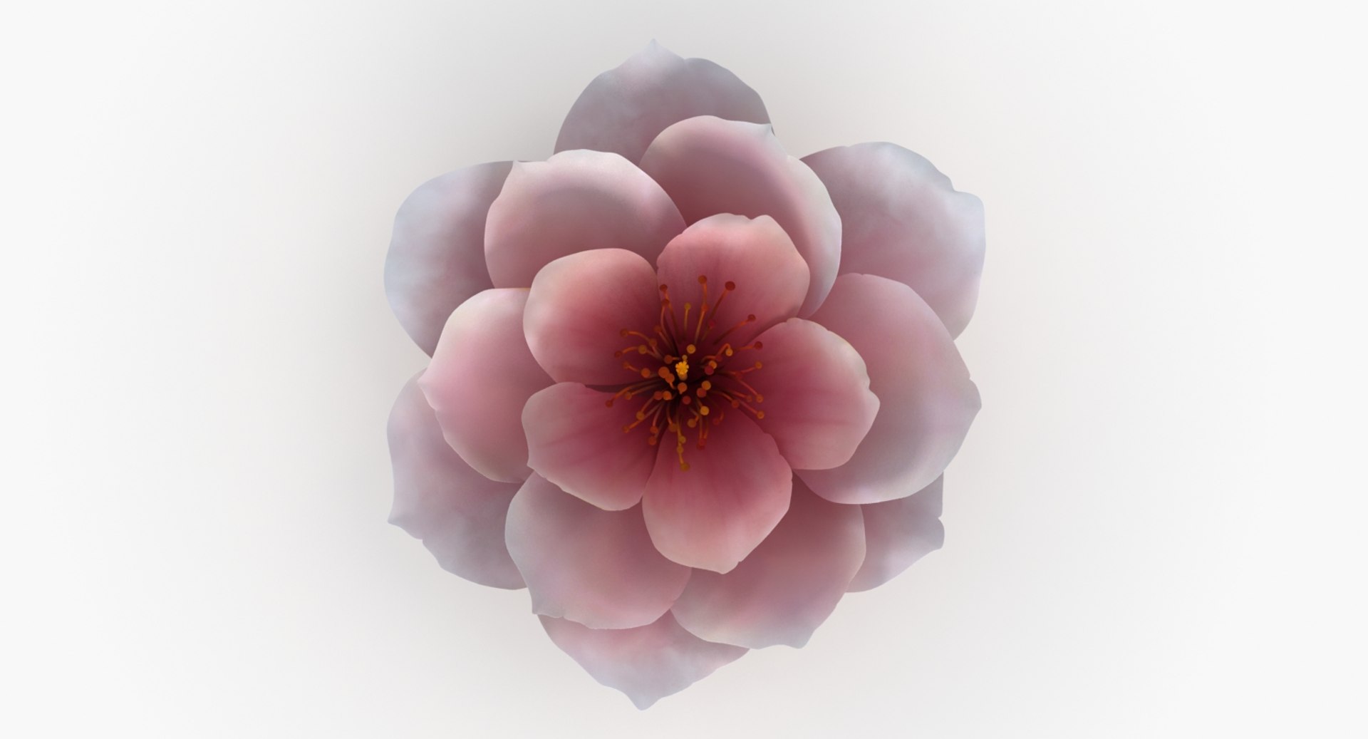 3D model flower https://p.turbosquid.com/ts-thumb/1W/rKuH34/uBxolJBh/pink_flower_a_productshoot_a/jpg/1518103179/1920x1080/fit_q87/9715927904fc2b9777cf4c06ef63d41de37b4a8f/pink_flower_a_productshoot_a.jpg