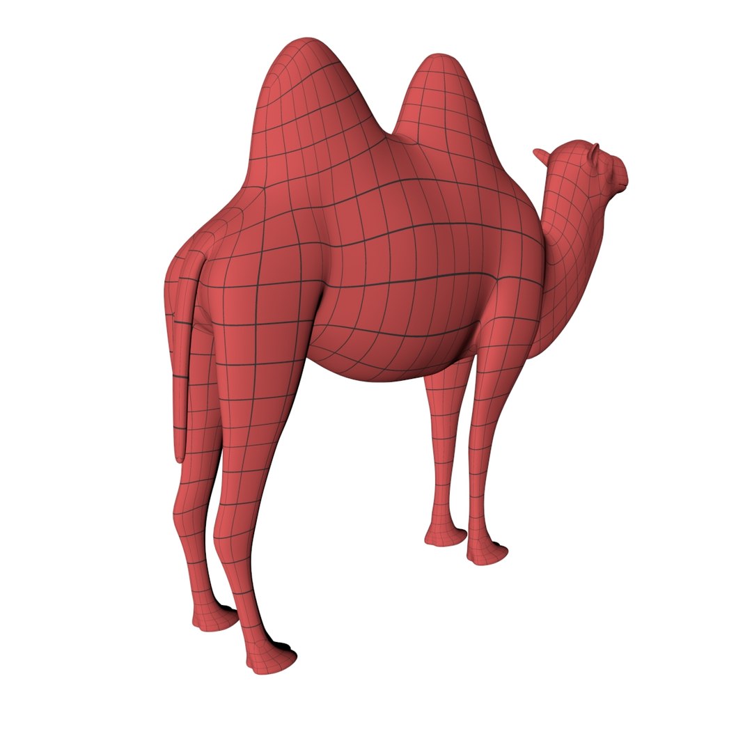 base mesh camel c4d https://p.turbosquid.com/ts-thumb/1W/ymivln/8sQk8I3V/6/jpg/1487359039/1920x1080/fit_q87/6d217136f5ff7c6870039e70efd6244012d24822/6.jpg
