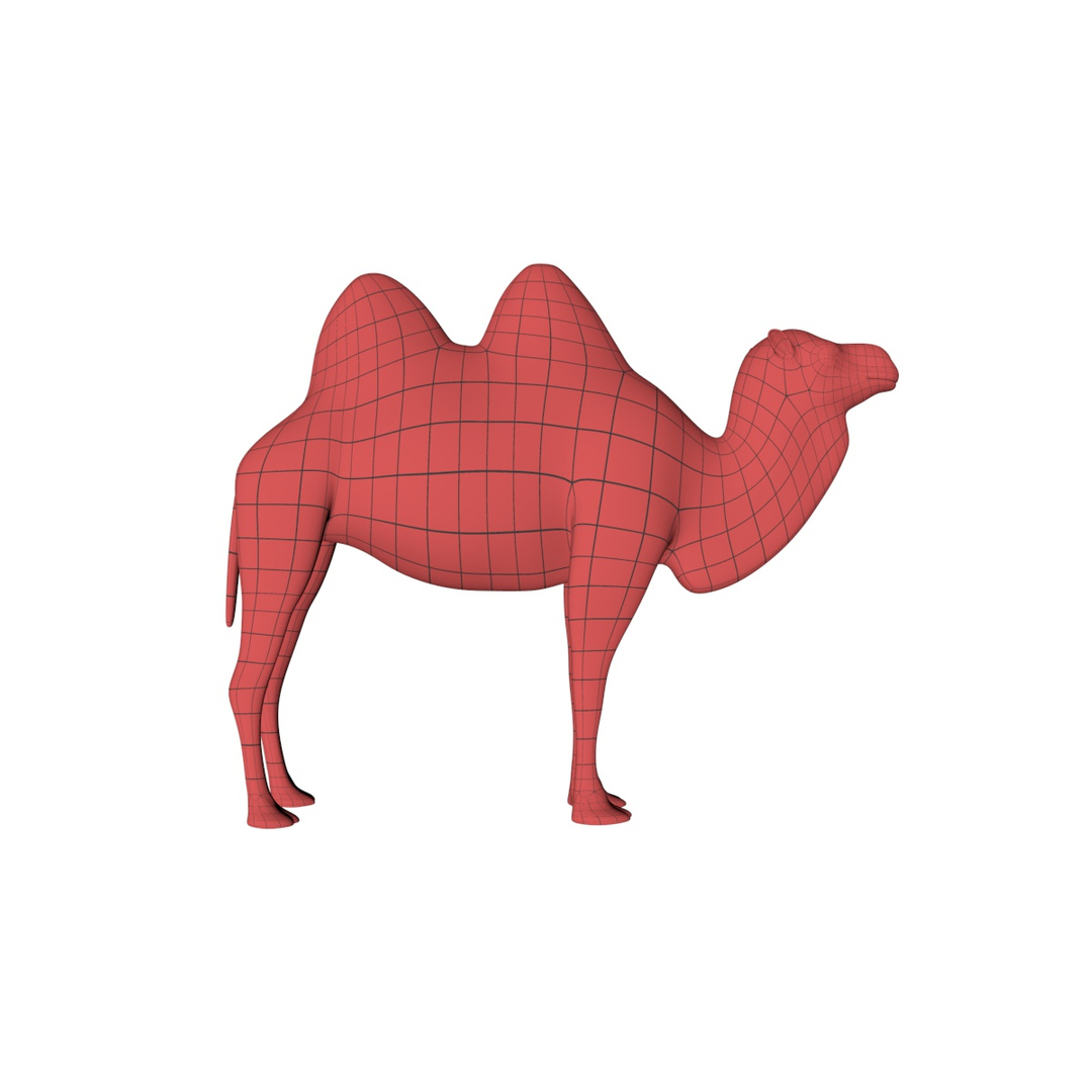 base mesh camel c4d https://p.turbosquid.com/ts-thumb/1W/ymivln/OVnmwgPM/1/jpg/1487358920/1920x1080/turn_fit_q99/dad5d5993570a1a52895d223f32ac868db97f70c/1-1.jpg