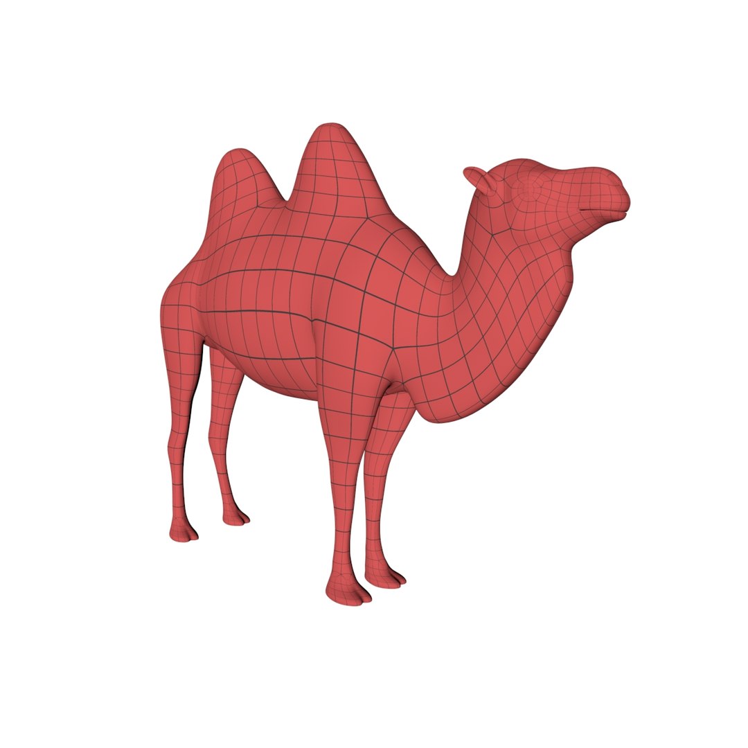 base mesh camel c4d https://p.turbosquid.com/ts-thumb/1W/ymivln/UrAuegZr/2/jpg/1487359039/1920x1080/fit_q87/13a5f1d116457dc582144c8e974062c4febb4185/2.jpg