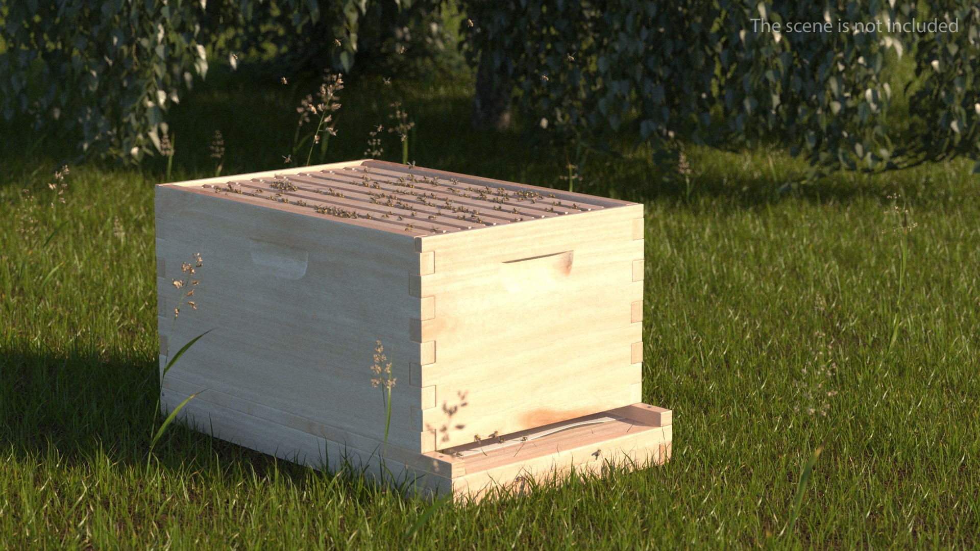 Brood Box Cedar 8 Frames 3D model preview
