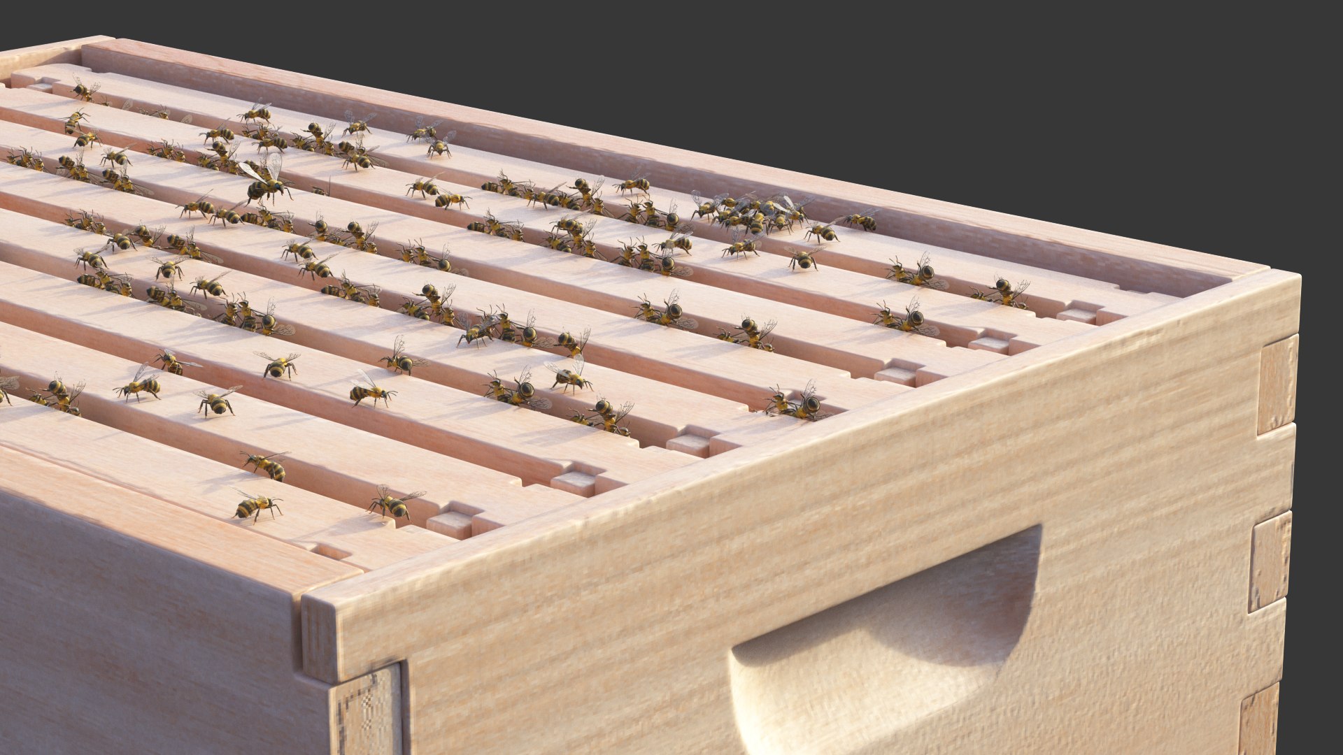 3D model brood box cedar 8 https://p.turbosquid.com/ts-thumb/1X/4hUbG8/zBypQlAj/broodboxcedar8frames3dmodel005/jpg/1577266729/1920x1080/fit_q87/bda678647e6a47391fe804b0c819bbcf053320ac/broodboxcedar8frames3dmodel005.jpg