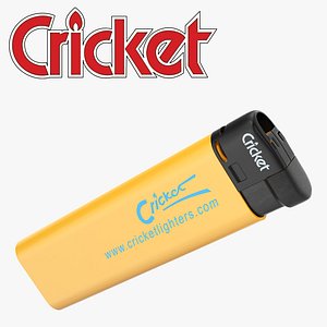 3D cricket lighter model