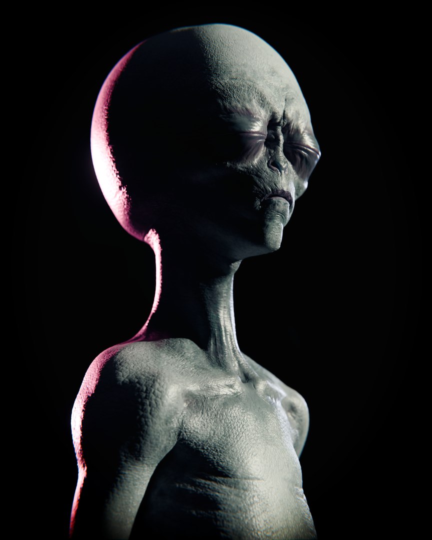 Alien Grey - Body-FacialRigged 3D model https://p.turbosquid.com/ts-thumb/1X/6jPZA5/cB/alienblenderv2_0024/png/1761141399/1920x1080/fit_q87/d3a2d581154397ca68984ad48a8b857d0dae261d/alienblenderv2_0024.jpg