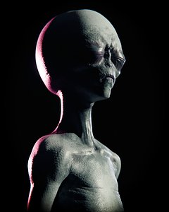 Alien Grey - Body-FacialRigged 3D model
