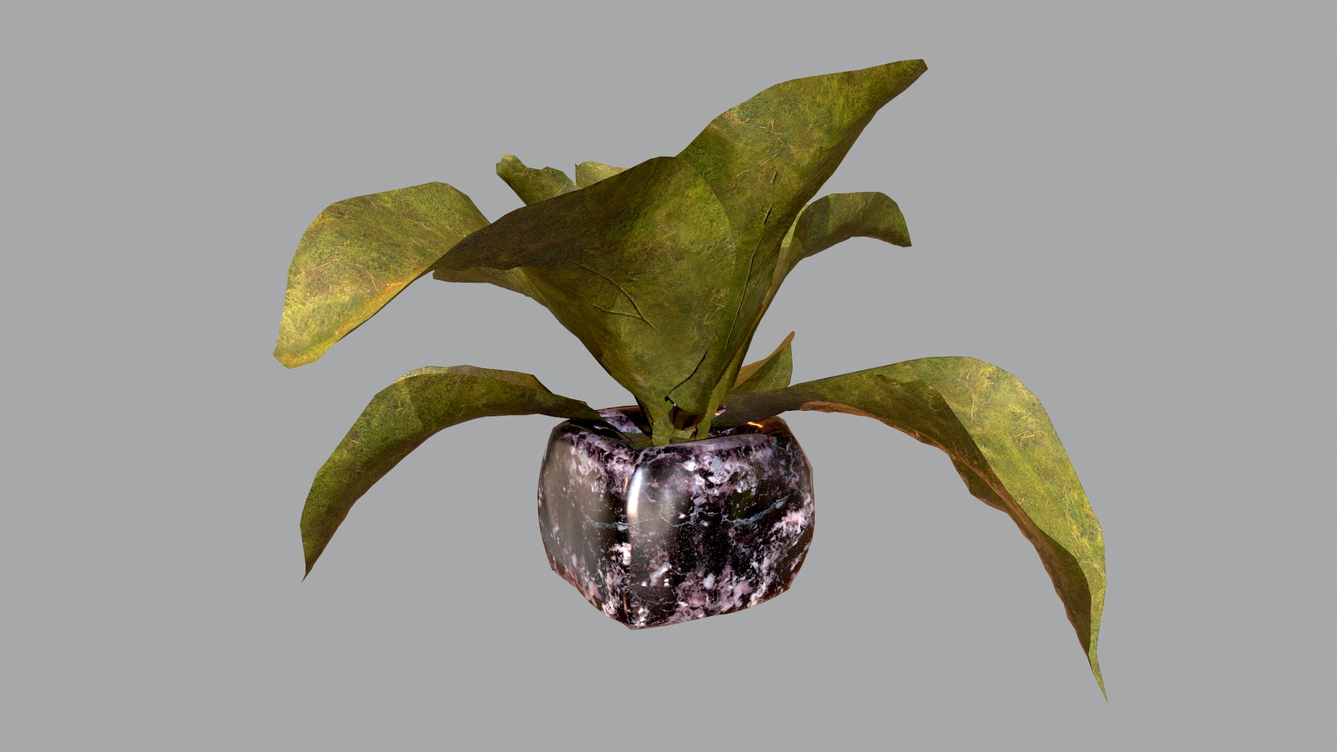 3D realistic pot model - TurboSquid 1784225