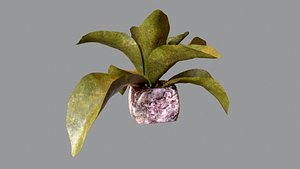 3D realistic pot model