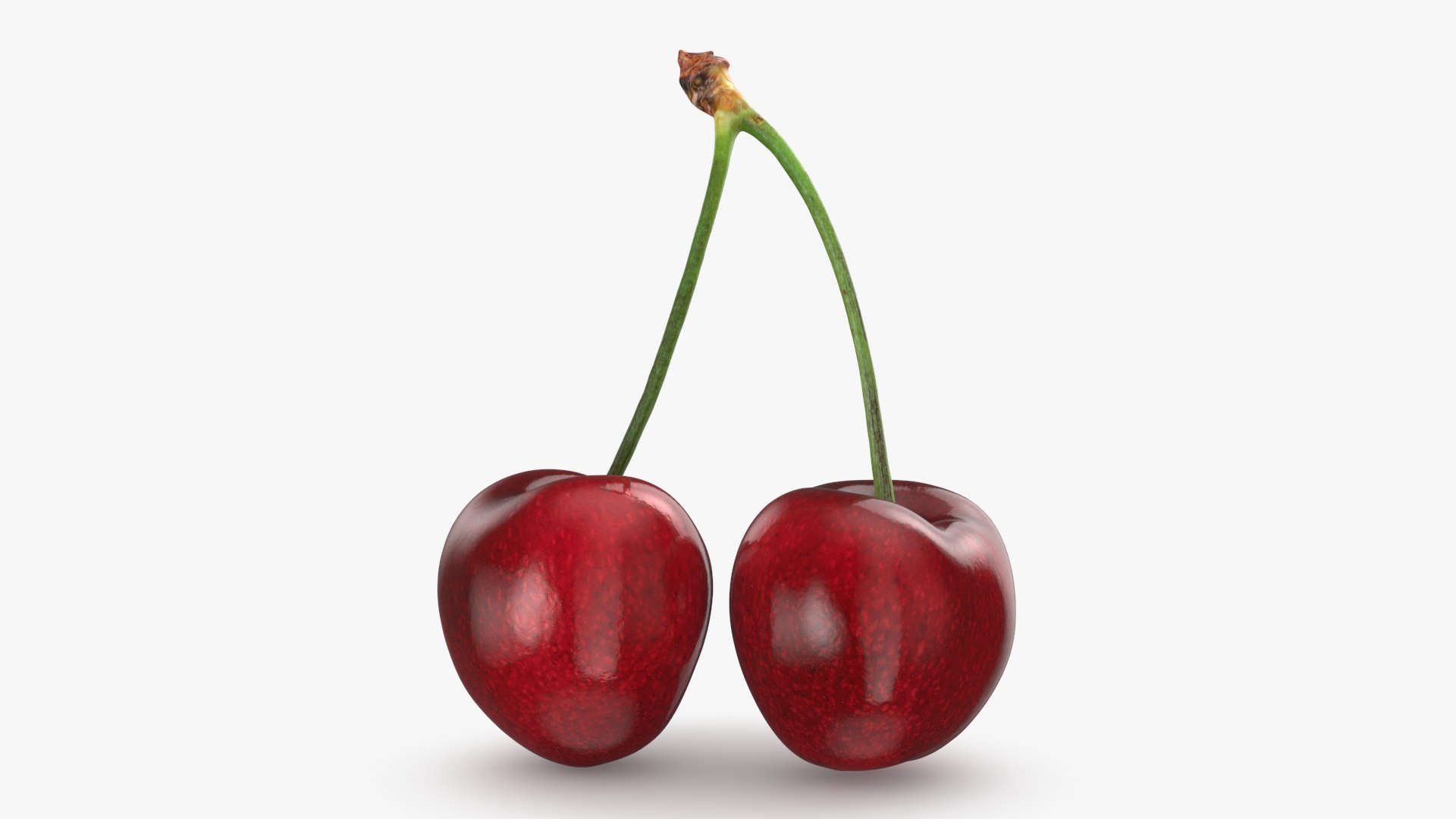 3D Cherry 03 model https://p.turbosquid.com/ts-thumb/1X/d6zi5c/3M/cherry03_b0016/jpg/1716576221/1920x1080/fit_q87/d65a57c70d19e979c1d521e1976c93219efec524/cherry03_b0016.jpg
