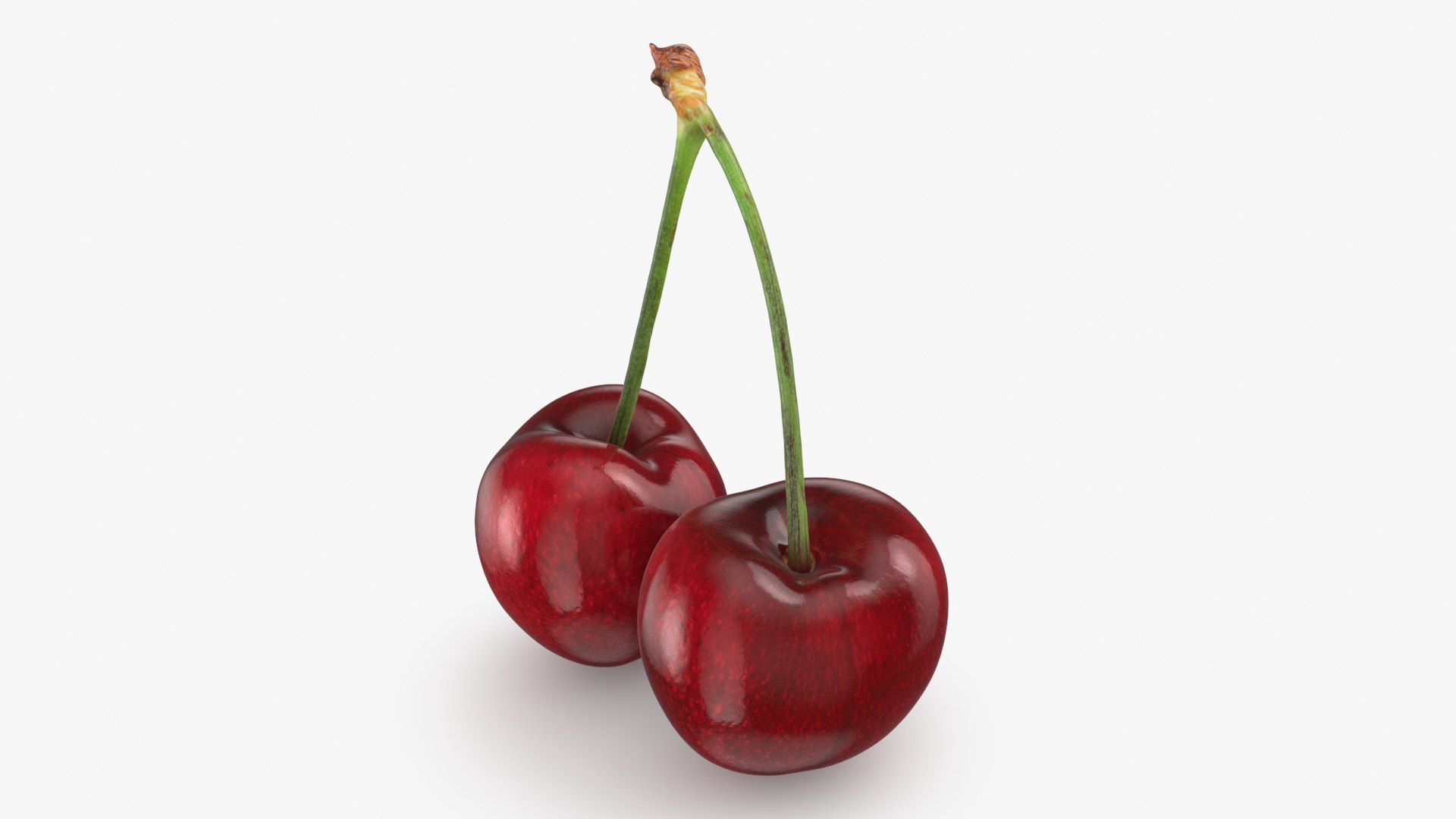 3D Cherry 03 model https://p.turbosquid.com/ts-thumb/1X/d6zi5c/3t/cherry03_b0008/jpg/1716576218/1920x1080/fit_q87/0a112b5fd4e9d1969bfc145f9350565df918edfd/cherry03_b0008.jpg