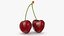 3D Cherry 03 model