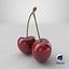 3D Cherry 03 model