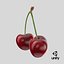 3D Cherry 03 model