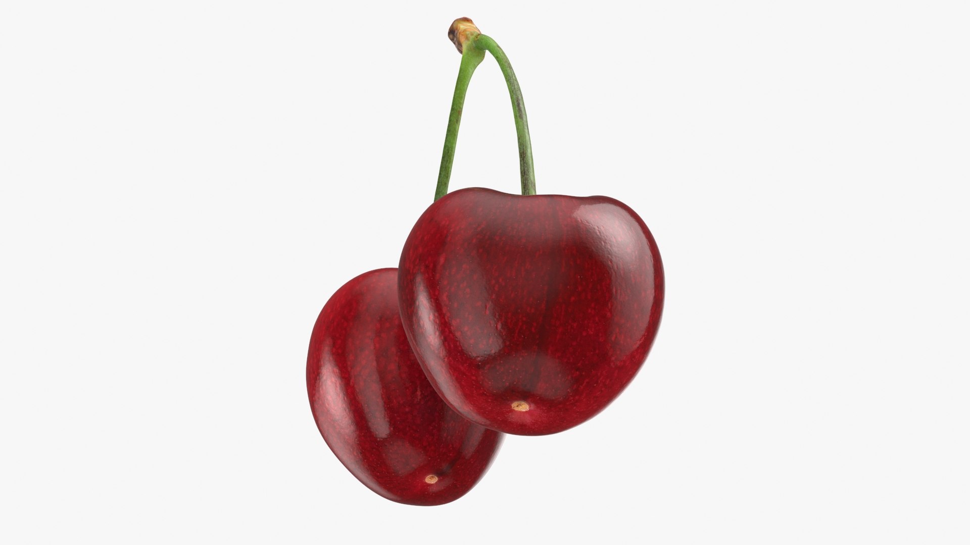 3D Cherry 03 model https://p.turbosquid.com/ts-thumb/1X/d6zi5c/K3/cherry03_b0018/jpg/1716576223/1920x1080/fit_q87/7eedf10aee2f7b4ef019370d36bcdc0609d82253/cherry03_b0018.jpg