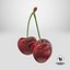 3D Cherry 03 model