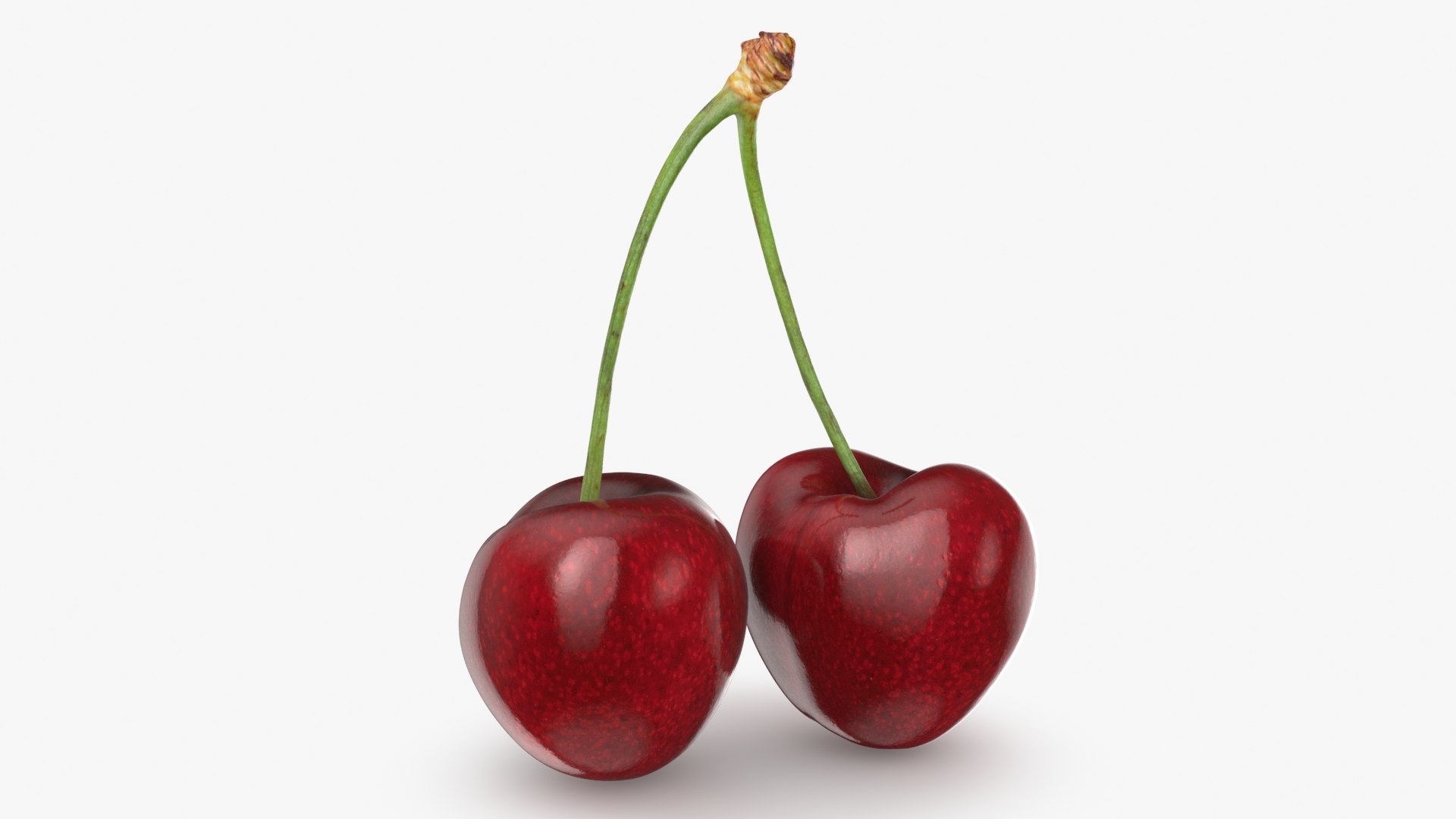 3D Cherry 03 model https://p.turbosquid.com/ts-thumb/1X/d6zi5c/XH/cherry03_b0006/jpg/1716576217/1920x1080/fit_q87/297a7b153f386637749e45149710cba130ba39ea/cherry03_b0006.jpg