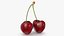 3D Cherry 03 model