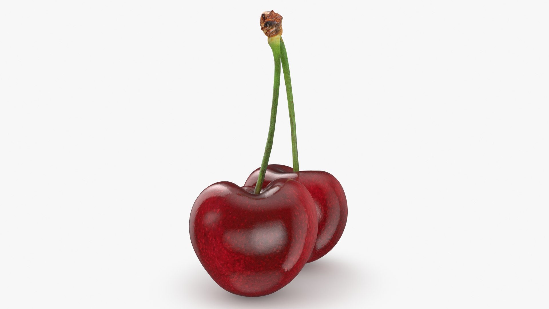 3D Cherry 03 model https://p.turbosquid.com/ts-thumb/1X/d6zi5c/jc/cherry03_b0004/jpg/1716576215/1920x1080/fit_q87/3a6246fd0fab691d9e00f64938acd853b332273c/cherry03_b0004.jpg