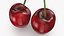 3D Cherry 03 model