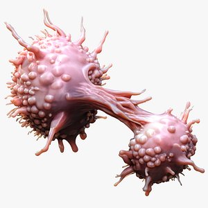 3D Cancer Cell