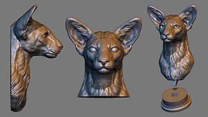 3D Siamese Oriental Cat Head model