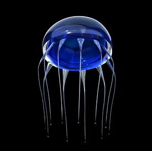 3D blue jellyfish model