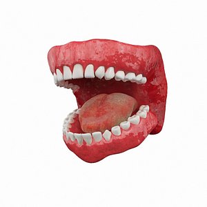 3d model teeth gums rigged