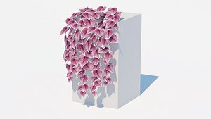 3D Ipomoea-Sweet Potato Vine model
