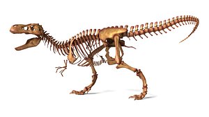 Tyrannosaurus Rex Skeleton Fully Rigged Apex Predator