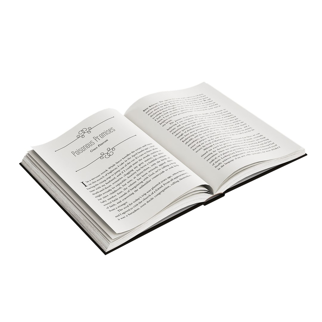 3D model set open books https://p.turbosquid.com/ts-thumb/1Z/0H17U4/CPrDKmpV/3/jpg/1587807552/1920x1080/fit_q87/ae99ad73d3a91773570111842ce6a192f0547927/3.jpg