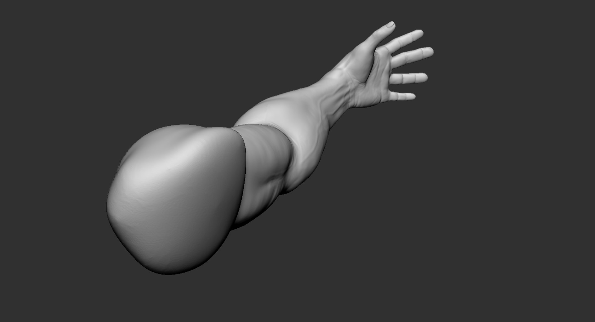 Human Muscular Arm 2019 3D Model - TurboSquid 1440054