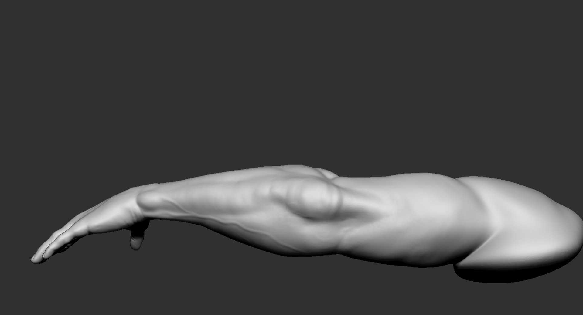 Human Muscular Arm 2019 3D Model - TurboSquid 1440054