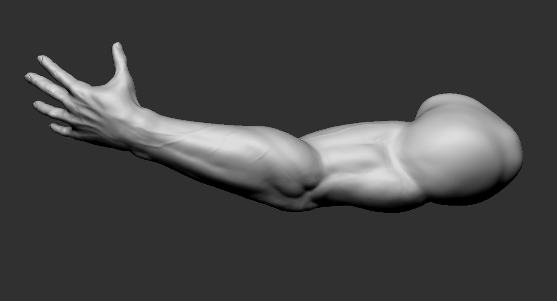 Human Muscular Arm 2019 3D Model - TurboSquid 1440054