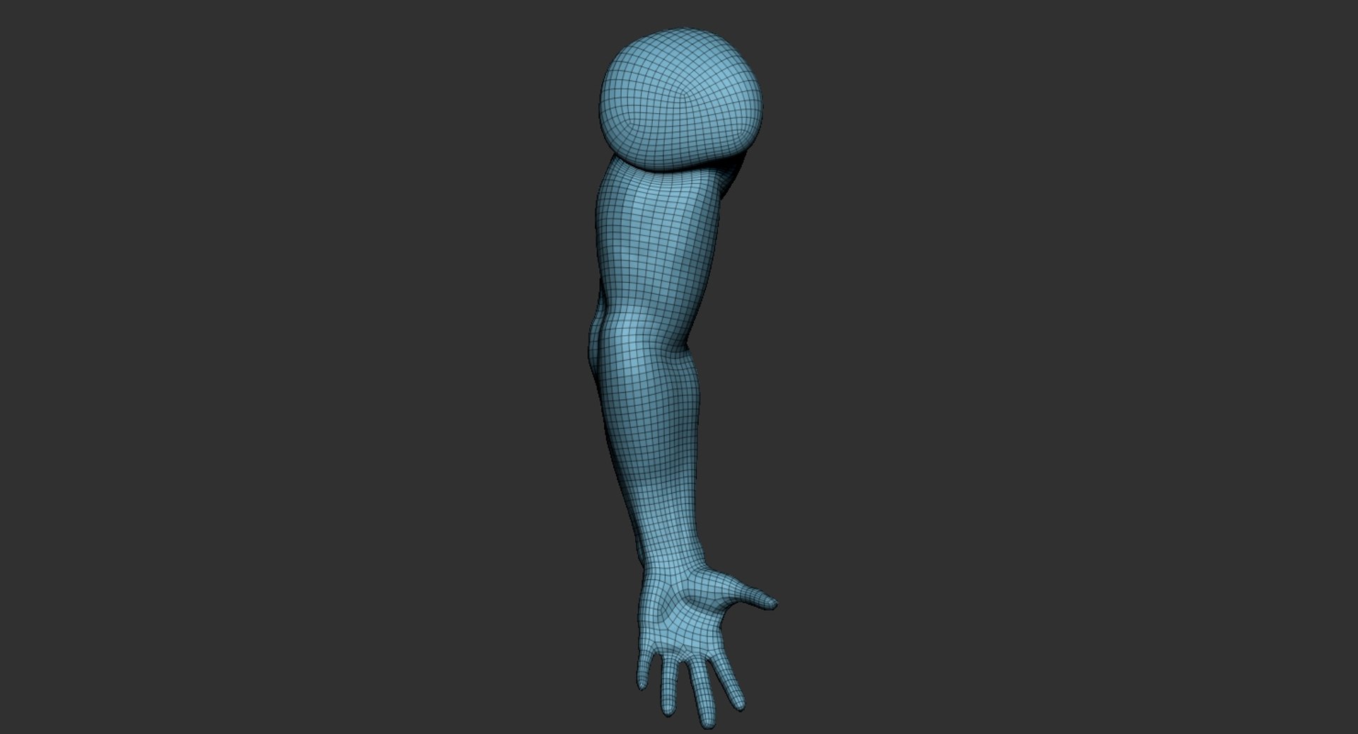 Human Muscular Arm 2019 3d Model Turbosquid 1440054 8791