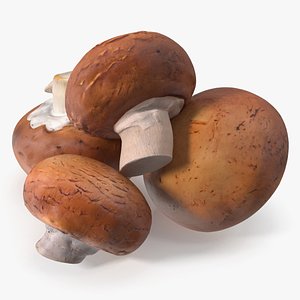 Brown Portobello Mushrooms Heap 3D