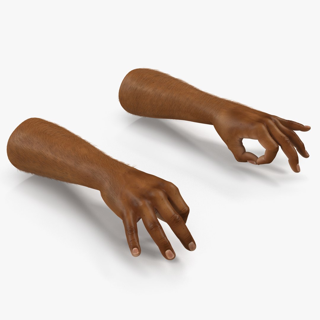 African Man Hands 3 with Fur Pose 5 3D Model 3D model preview