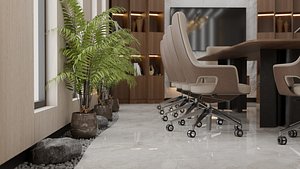 Conference  Meeting Room model