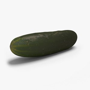 cucumber ready unreal 3d model