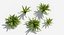 3D Plants Pack 9: Rainforest: GrowFX