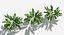 Plants Pack 9: Rainforest: GrowFX