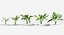 Plants Pack 9: Rainforest: GrowFX