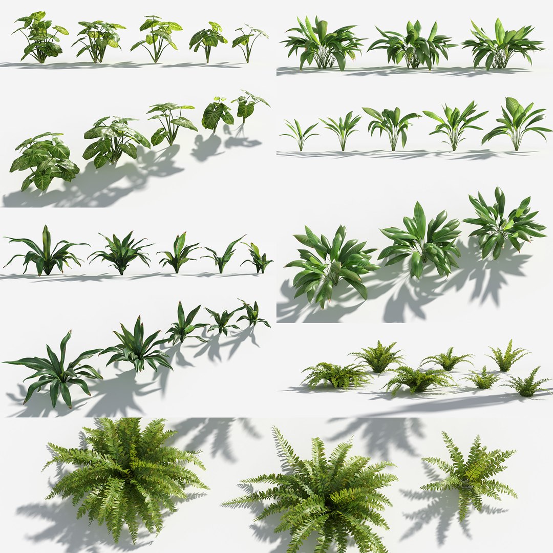 3D Plants Pack 9: Rainforest: GrowFX https://p.turbosquid.com/ts-thumb/1Z/YuM4WA/w8/_arrowhead_plant1/jpg/1623760412/1920x1080/fit_q87/3665c01894a38b1973c8f22cc57fd8b4eb5c078e/_arrowhead_plant1.jpg