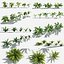 3D Plants Pack 9: Rainforest: GrowFX
