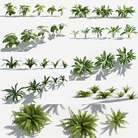 Plants Pack 9: Rainforest: GrowFX