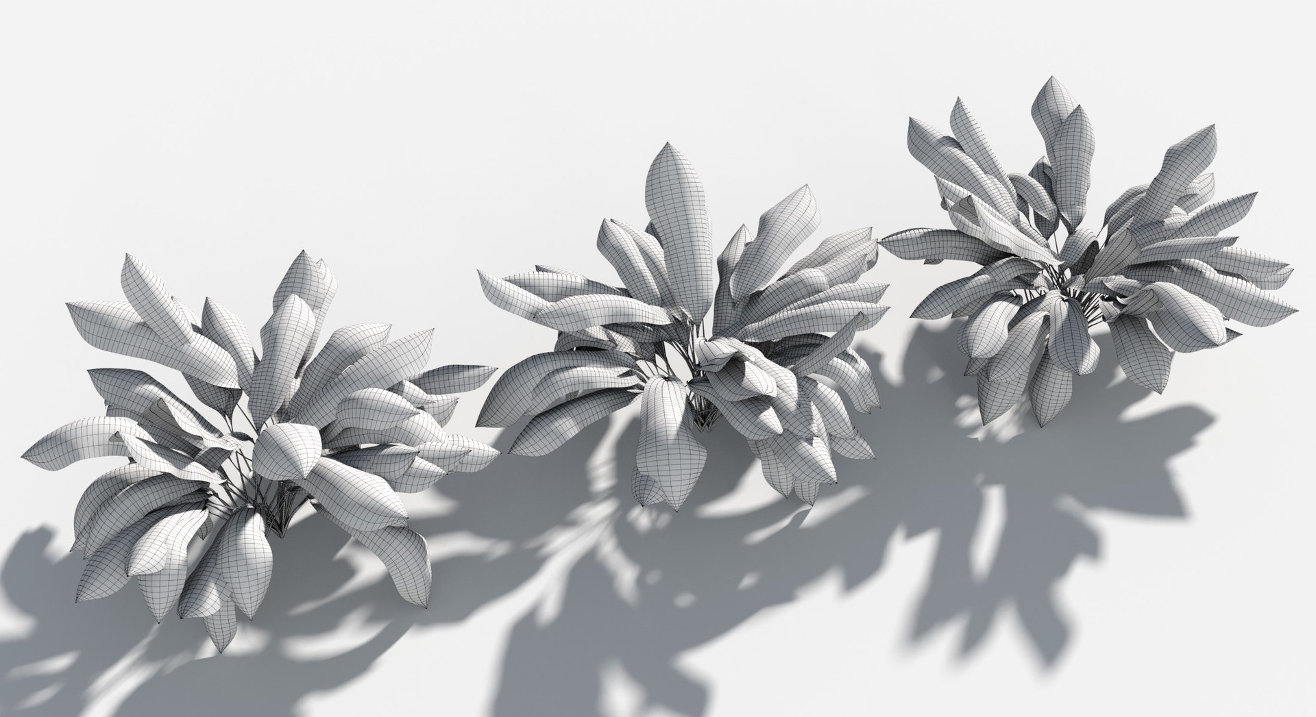 3D Plants Pack 9: Rainforest: GrowFX https://p.turbosquid.com/ts-thumb/1Z/YuM4WA/zA/giant_palm_grass2b/jpg/1623760420/1920x1080/fit_q87/4d1e2578a85670110af6111f1d6ff596f83bd1b5/giant_palm_grass2b.jpg