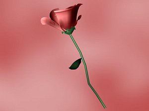 3d model love rose