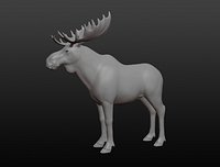 Moose base mesh